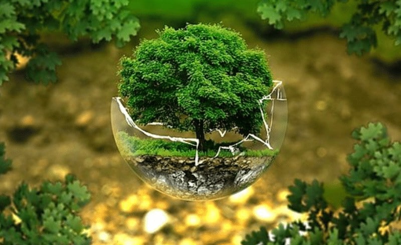 biodiversité